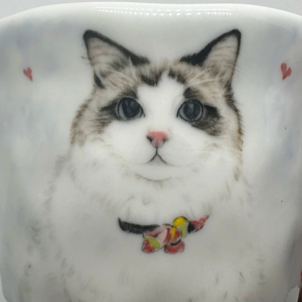 Tailored Pet Portrait Cup & Saucer Set